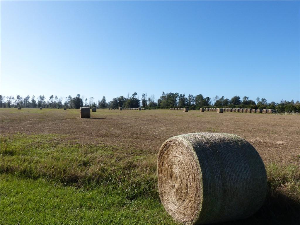 Spirit Hills Way, Dade City, FL 33523