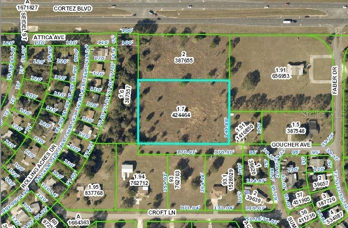 Goucher Ave., Brooksville, FL 34602