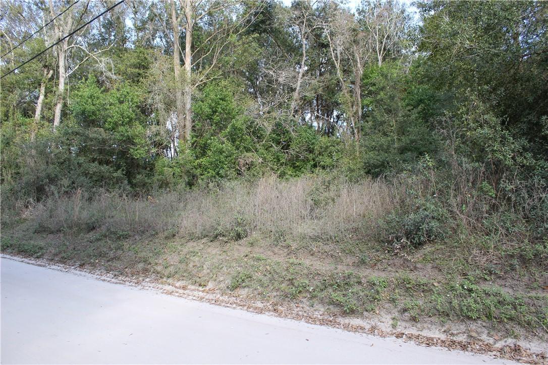 10404 Newsome Rd., Dade City, FL 33525