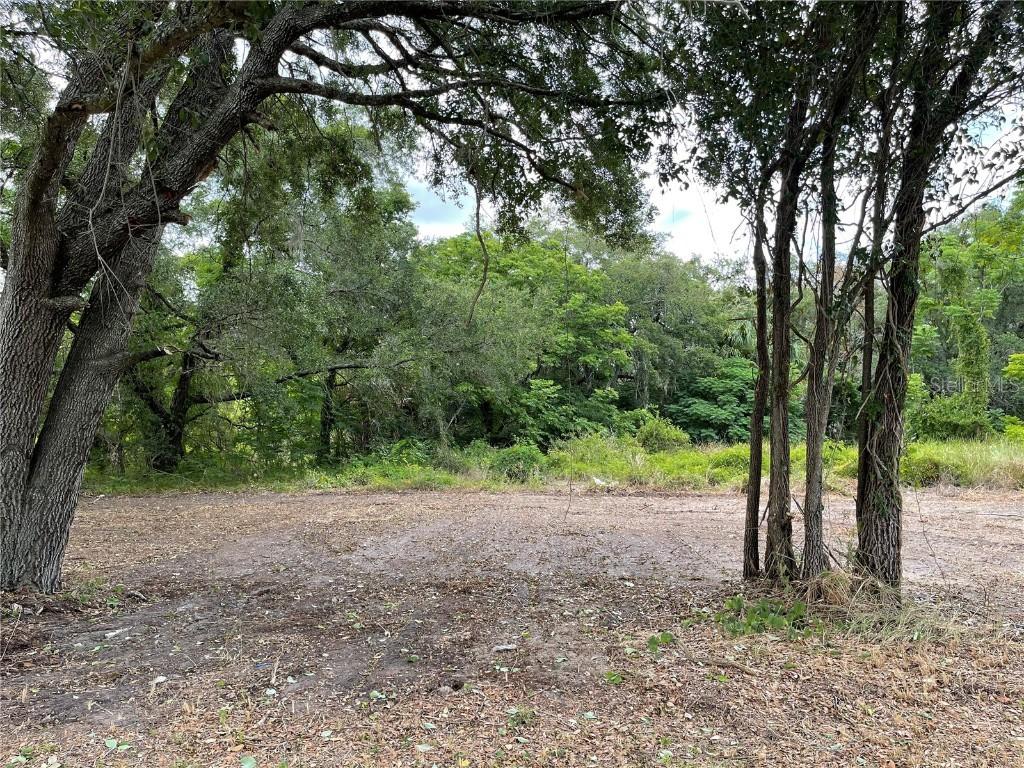 Hicks, Hudson, FL 34669