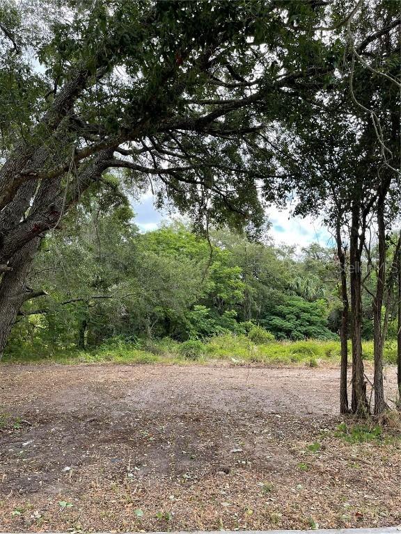 Hicks, Hudson, FL 34669