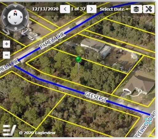 11510 Pamela Cir., Weeki Wachee, FL 34614