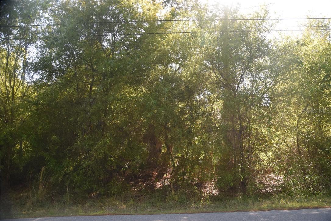 Lot 12 Sweden Ave., North Port, FL 34288