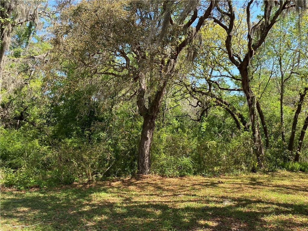 10641 Woodland Dr., Hudson, FL 34669