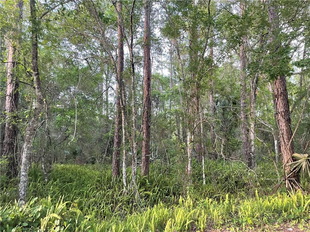 Rexford Dr., New Port Richey, FL 34654