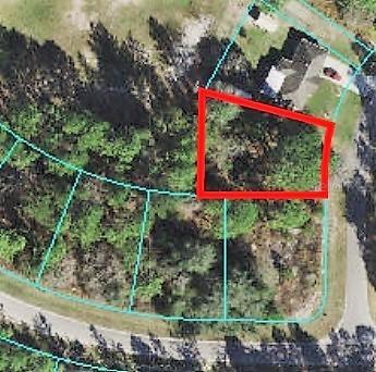 SW 153rd Place Rd., Ocala, FL 34473