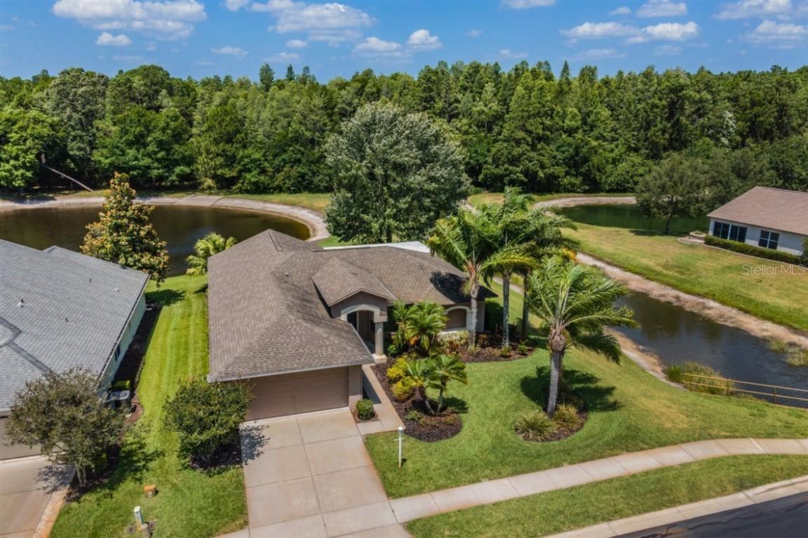 1533 Westerham Loop, Trinity, FL 34655