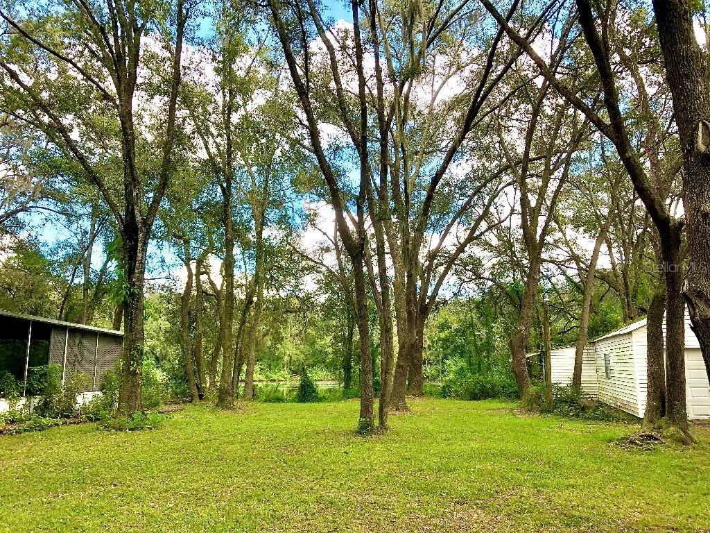 16123 Hanna Rd., Lutz, FL 33549