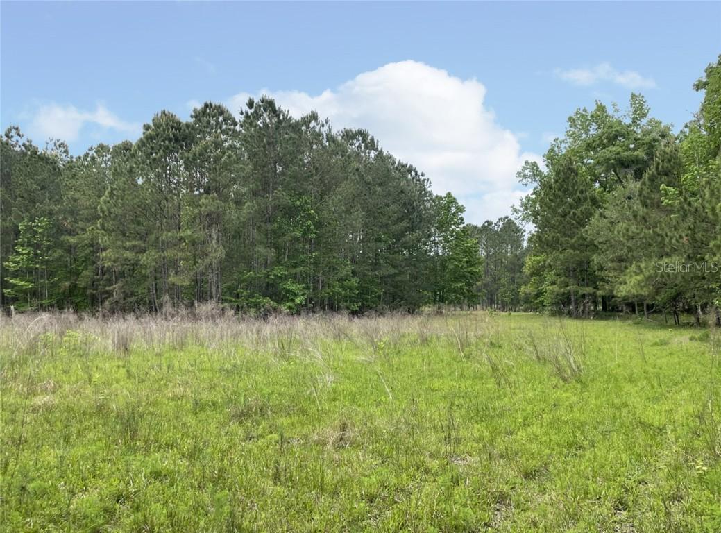 Hedick Pl., Brooksville, FL 34601