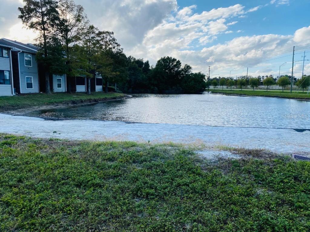 1400 Gandy Blvd. #1705, St Petersburg, FL 33702