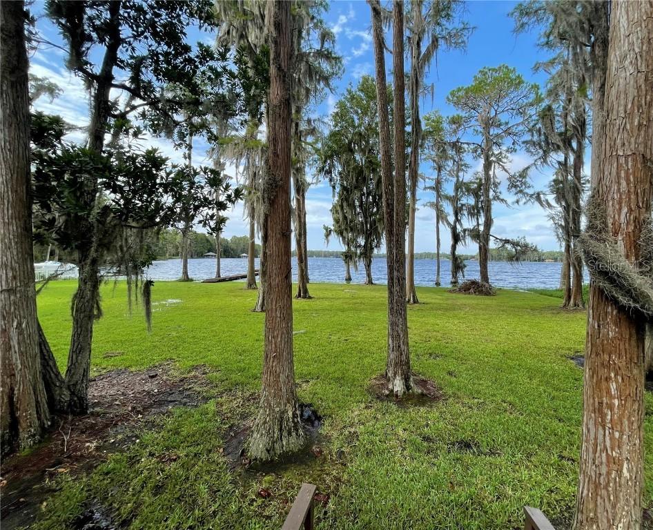 14704 Coloma Ln., Odessa, FL 33556