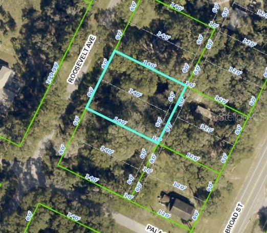 Roosevelt Ave., Brooksville, FL 34604