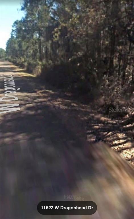 11622 W Dragonhead Dr., Crystal River, FL 34428
