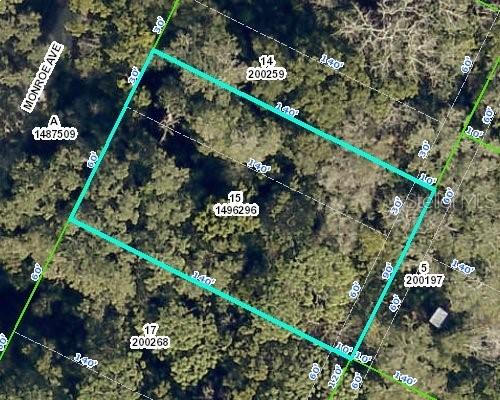 Monroe Ave., Masaryktown, FL 34604