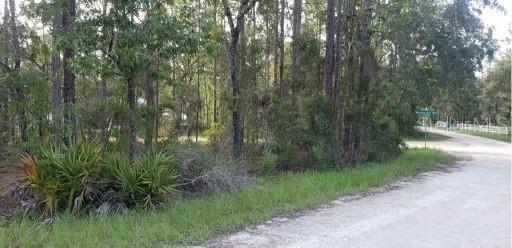 11184 Woodpecker Ave., Weeki Wachee, FL 34614