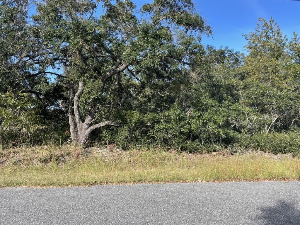 Abair St., Hudson, FL 34667