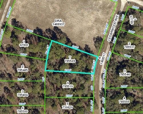 Cedarwood Ave., Weeki Wachee, FL 34614