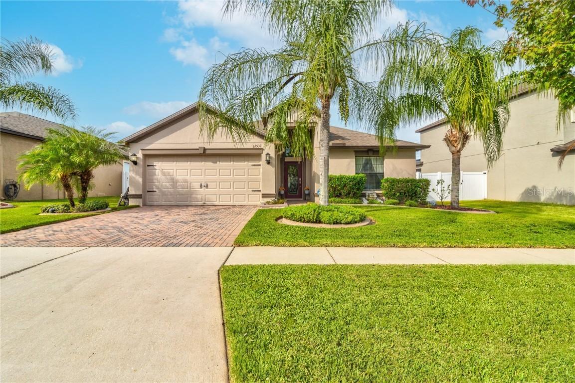 12539 Mountain Springs Pl., New Port Richey, FL 34655