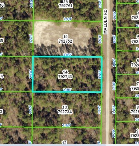 Malden Rd., Weeki Wachee, FL 34614