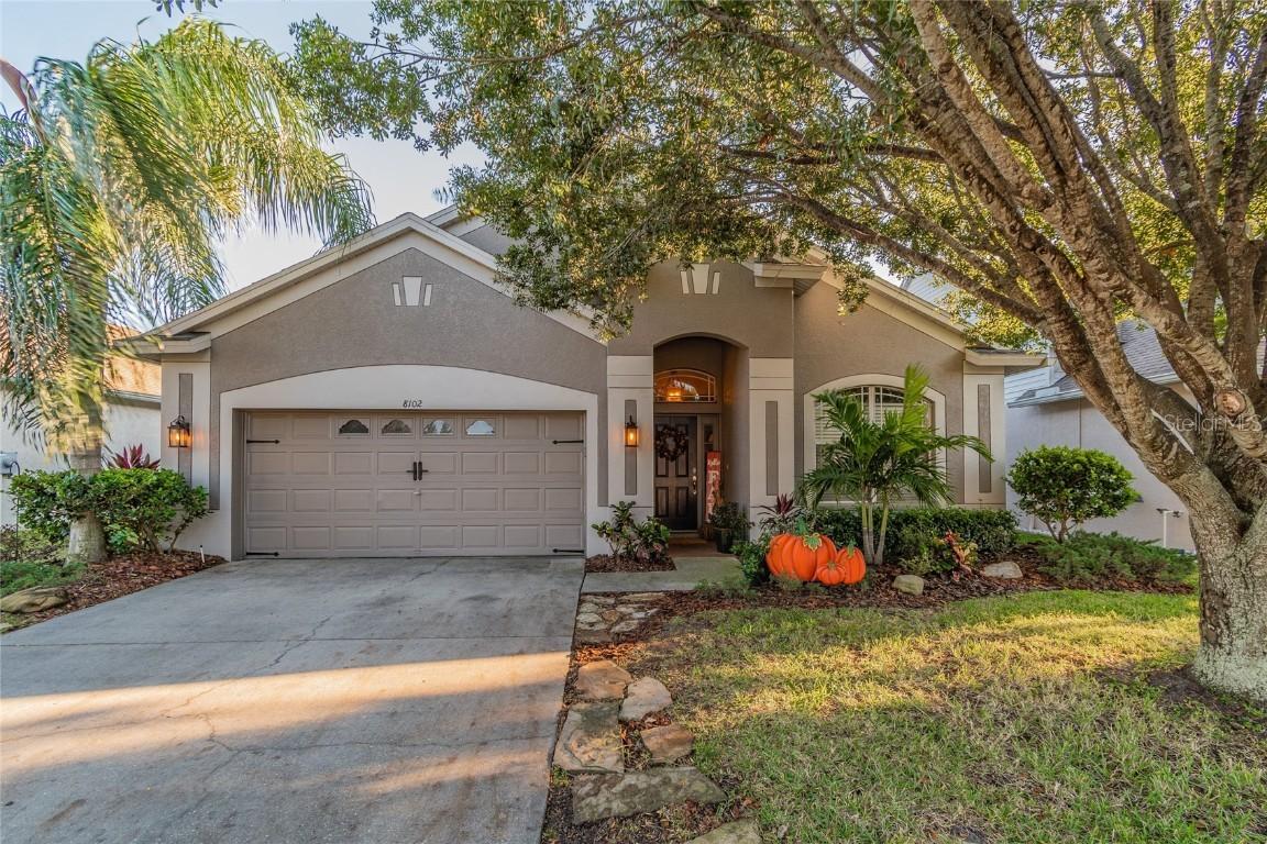 8102 Pea Tree Ct., Trinity, FL 34655