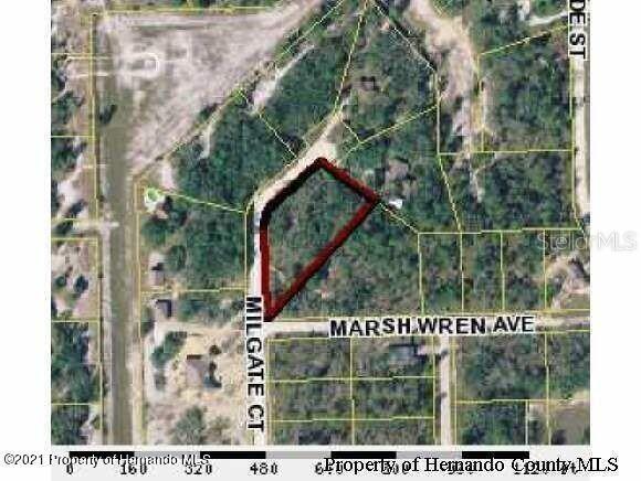 11140 Milgate Ct., Weeki Wachee, FL 34614