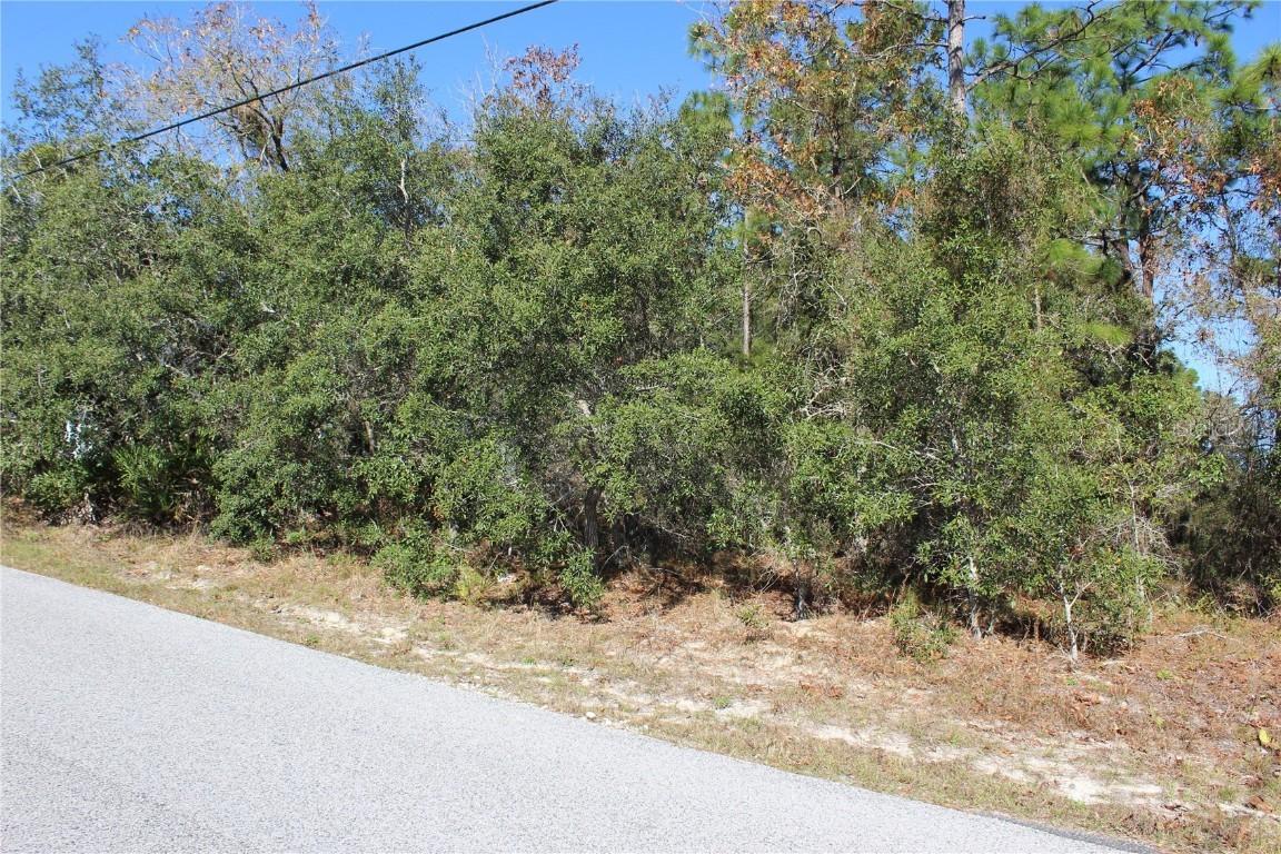10349 Desert Sparrow Ave., Weeki Wachee, FL 34613