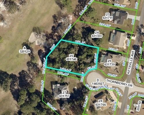 Thornberry Dr., Spring Hill, FL 34608