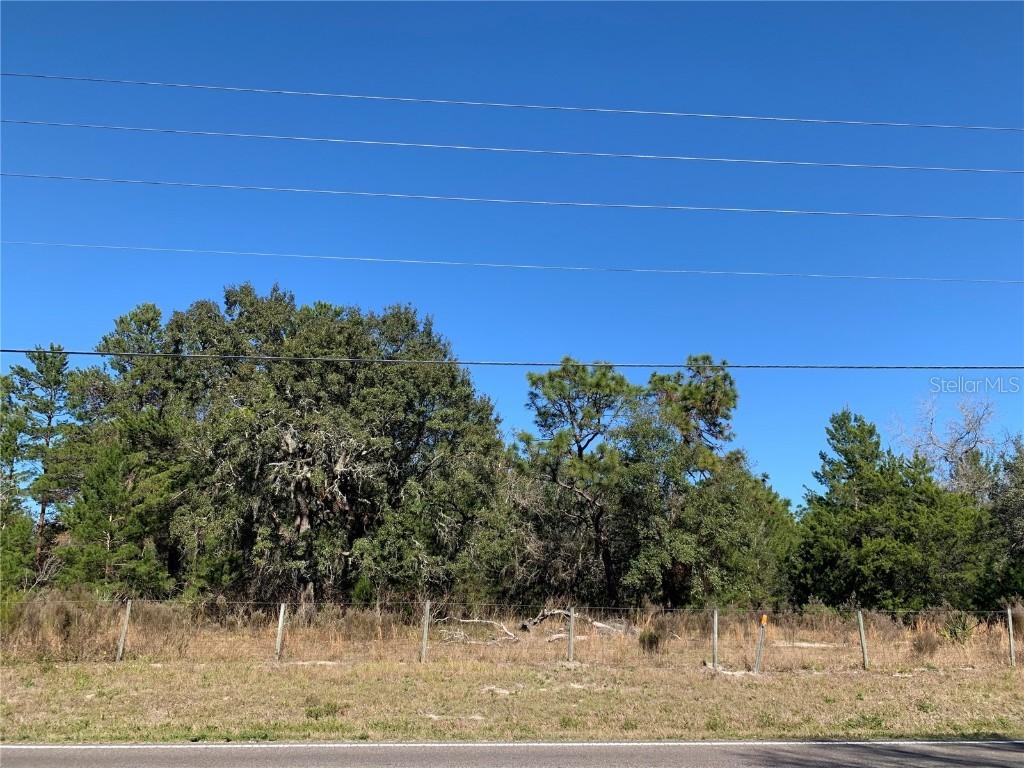 Denton Ave., Hudson, FL 34667