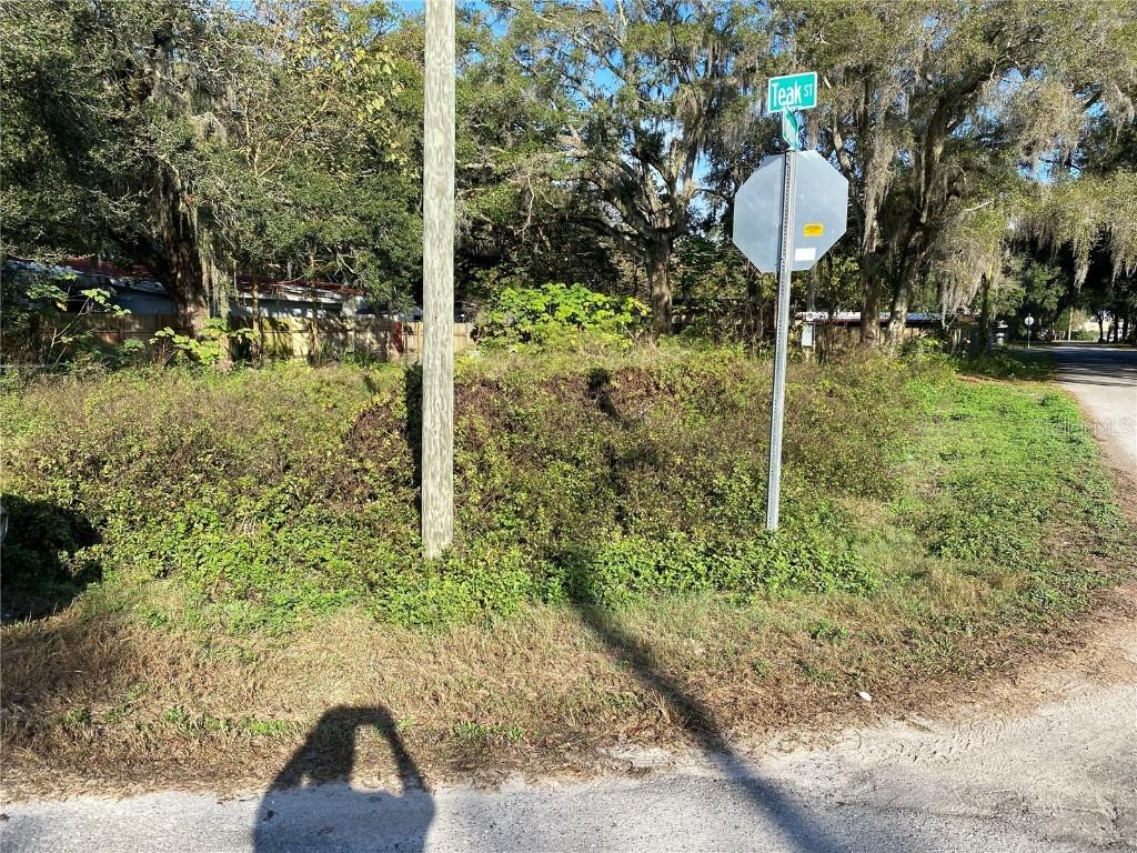 9331 Teak St., New Port Richey, FL 34654