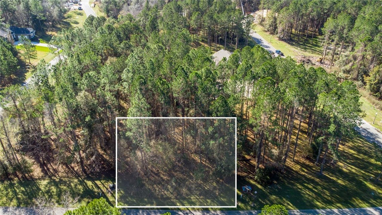 19844 English Walnut Pl., Brooksville, FL 34601