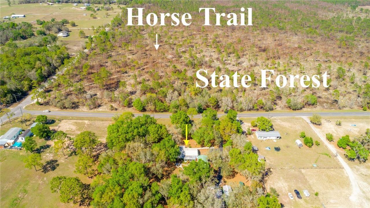 28196 Wildlife Ln., Brooksville, FL 34602