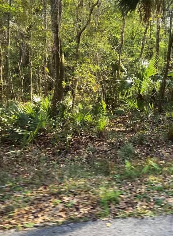 Budowski Rd., Brooksville, FL 34614