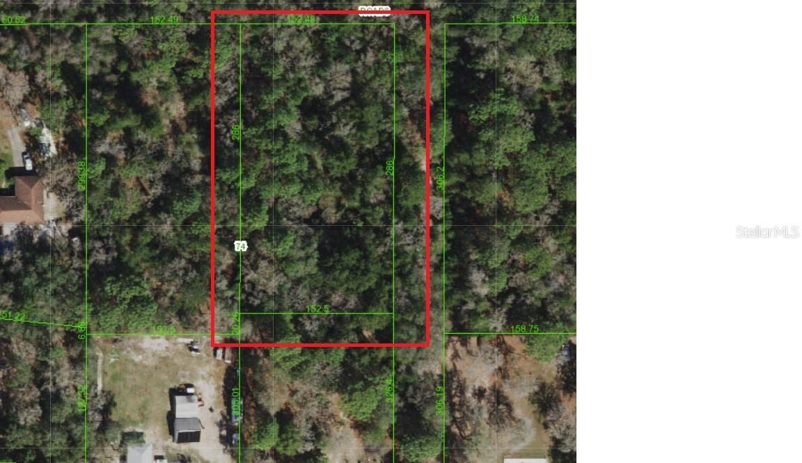 Fred St., Hudson, FL 34669