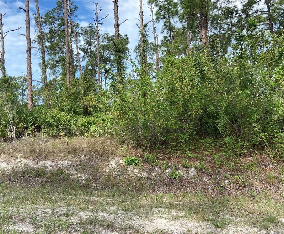 1105 Edison Ave., Lehigh Acres, FL 33972