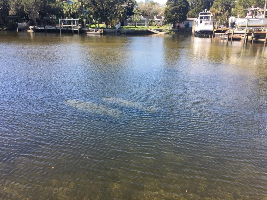 LOT 8 Old Dixie Hwy., Hudson, FL 34667
