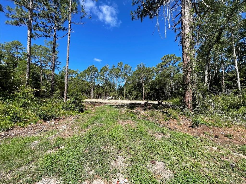 6467 Arizona St., Brooksville, FL 34604