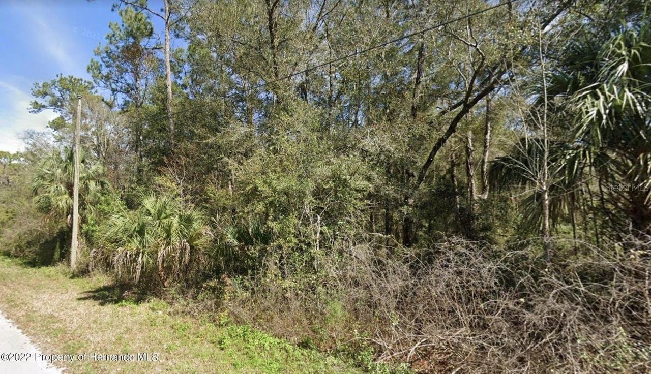 7338 Nunn Blvd., Brooksville, FL 34601