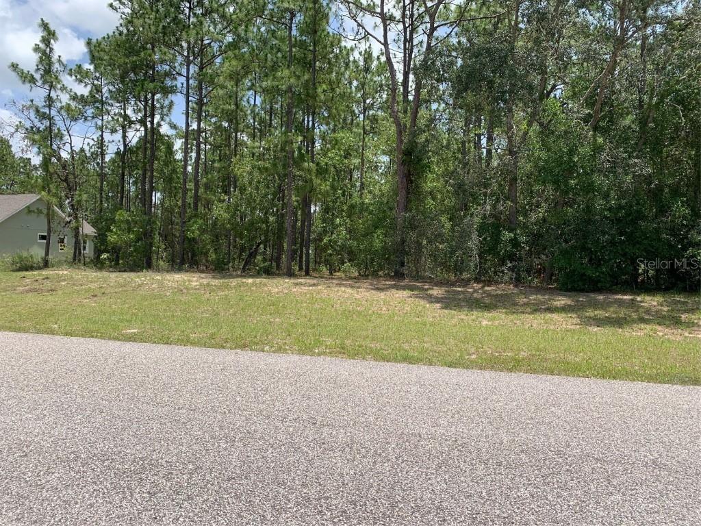 Sago Dr., Brooksville, FL 34604