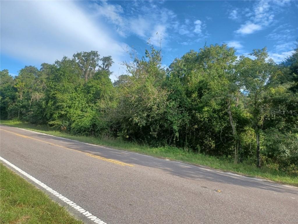 Peace, Spring Hill, FL 34610