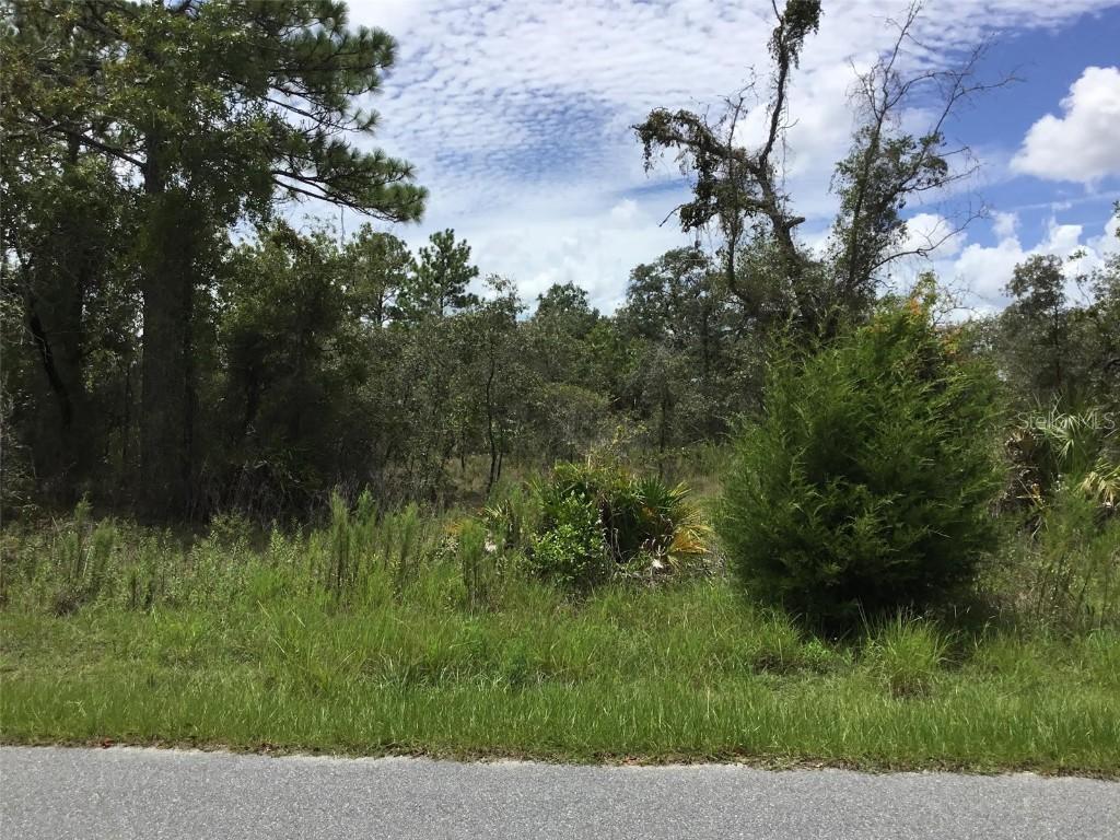 11380 Old Squaw Ave., Weeki Wachee, FL 34614