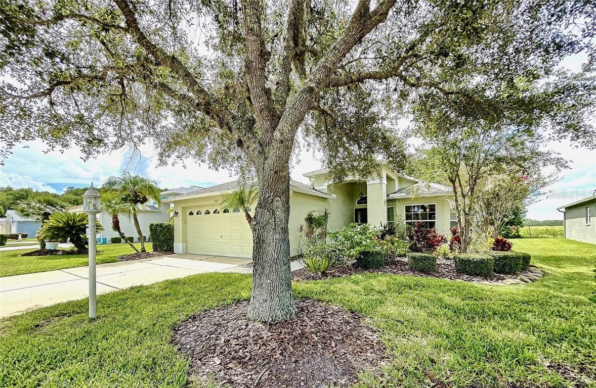 1027 Sweet Jasmine Dr., Trinity, FL 34655