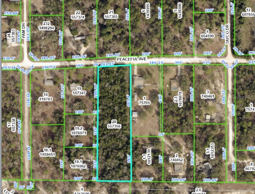 12124 Peaceful Ave., Weeki Wachee, FL 34614