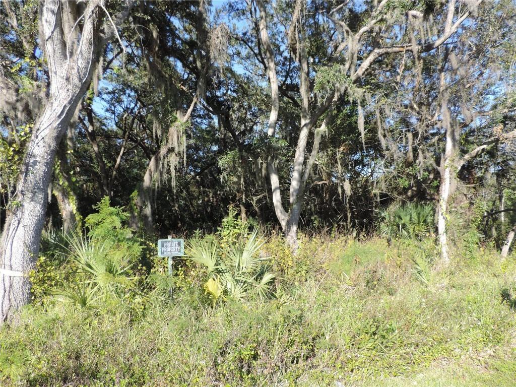 4701 Salvia St., New Port Richey, FL 34652