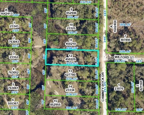 New Foreclosures & Short Sales in Webster: December 26th to January 1st