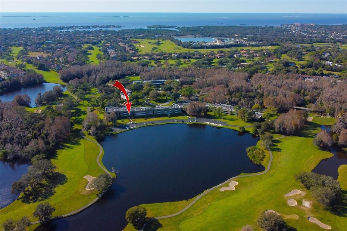 36750 Us Highway 19 #4-113, Palm Harbor, FL 34684