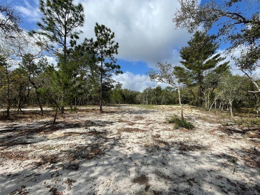 13100 Saddleback Tr., Hudson, FL 34667