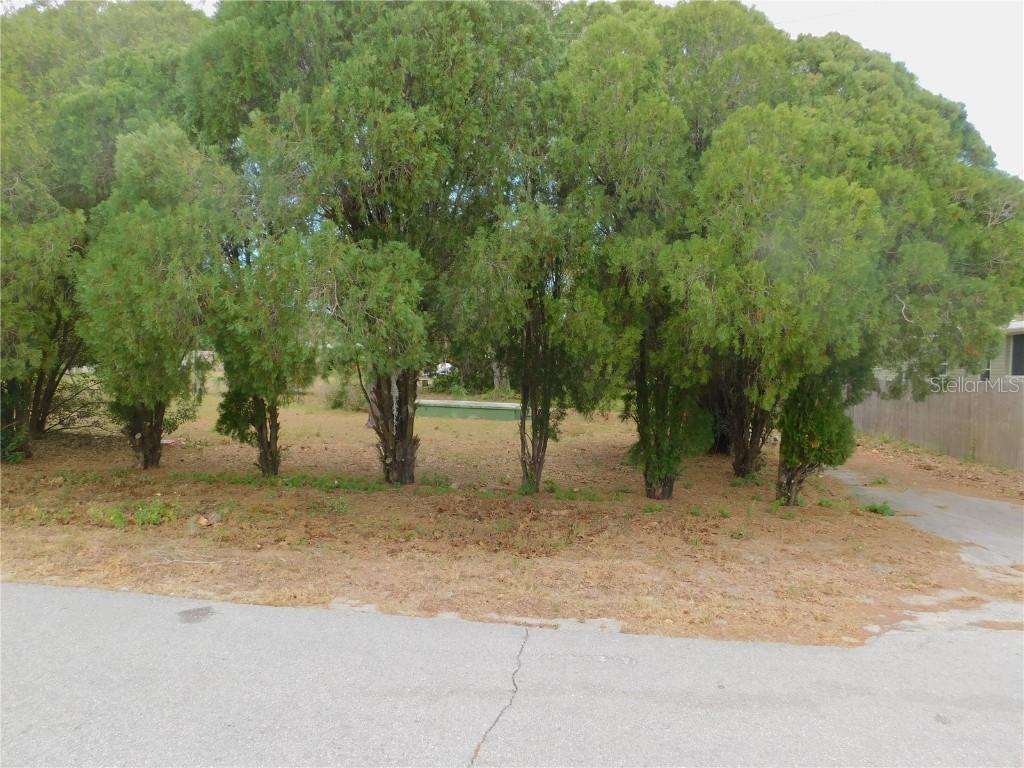 13539 Parkwood St., Hudson, FL 34669