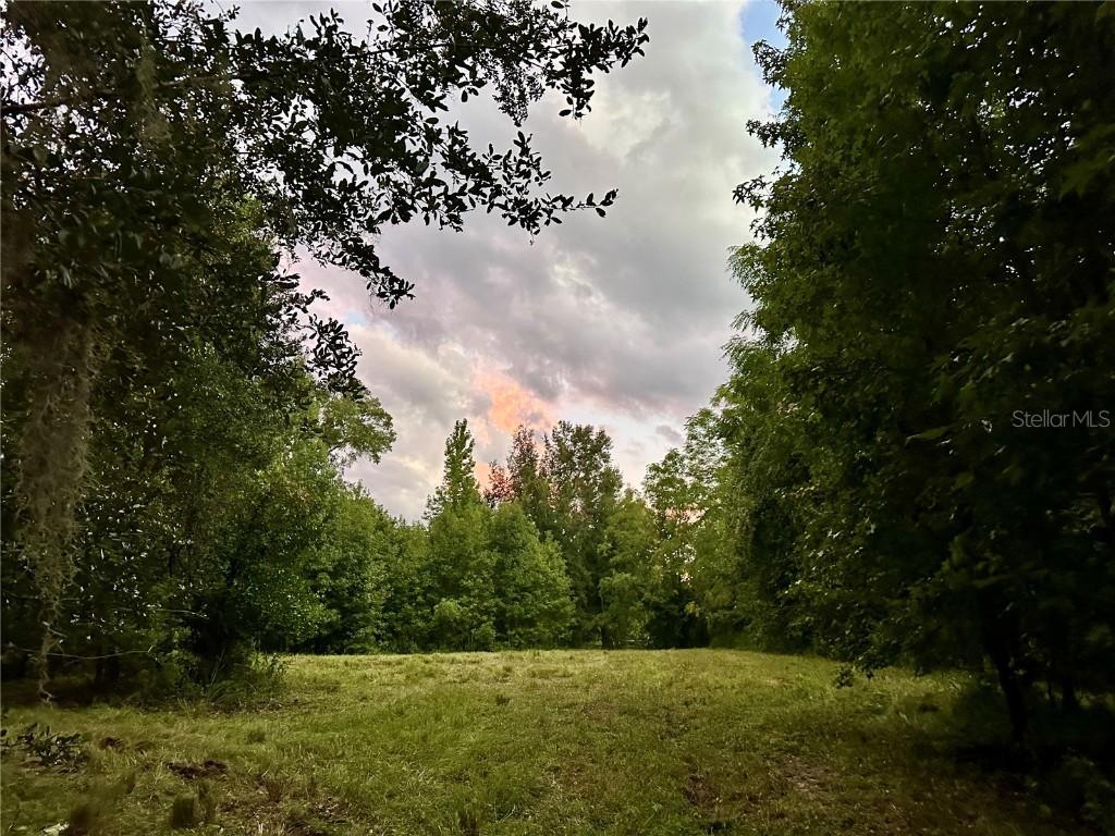 Science Dr., Brooksville, FL 34601