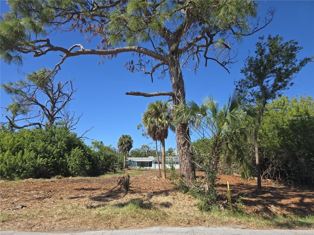 6313 Oelsner St., New Port Richey, FL 34652