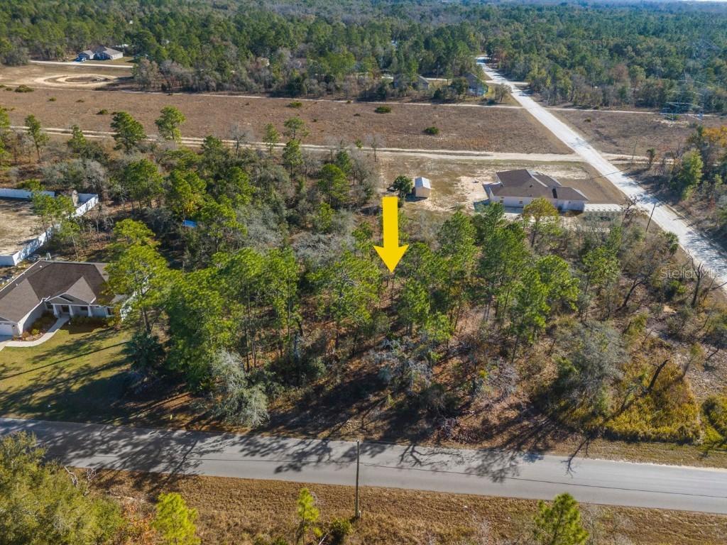 Dusky Warbler Rd., Brooksville, FL 34614